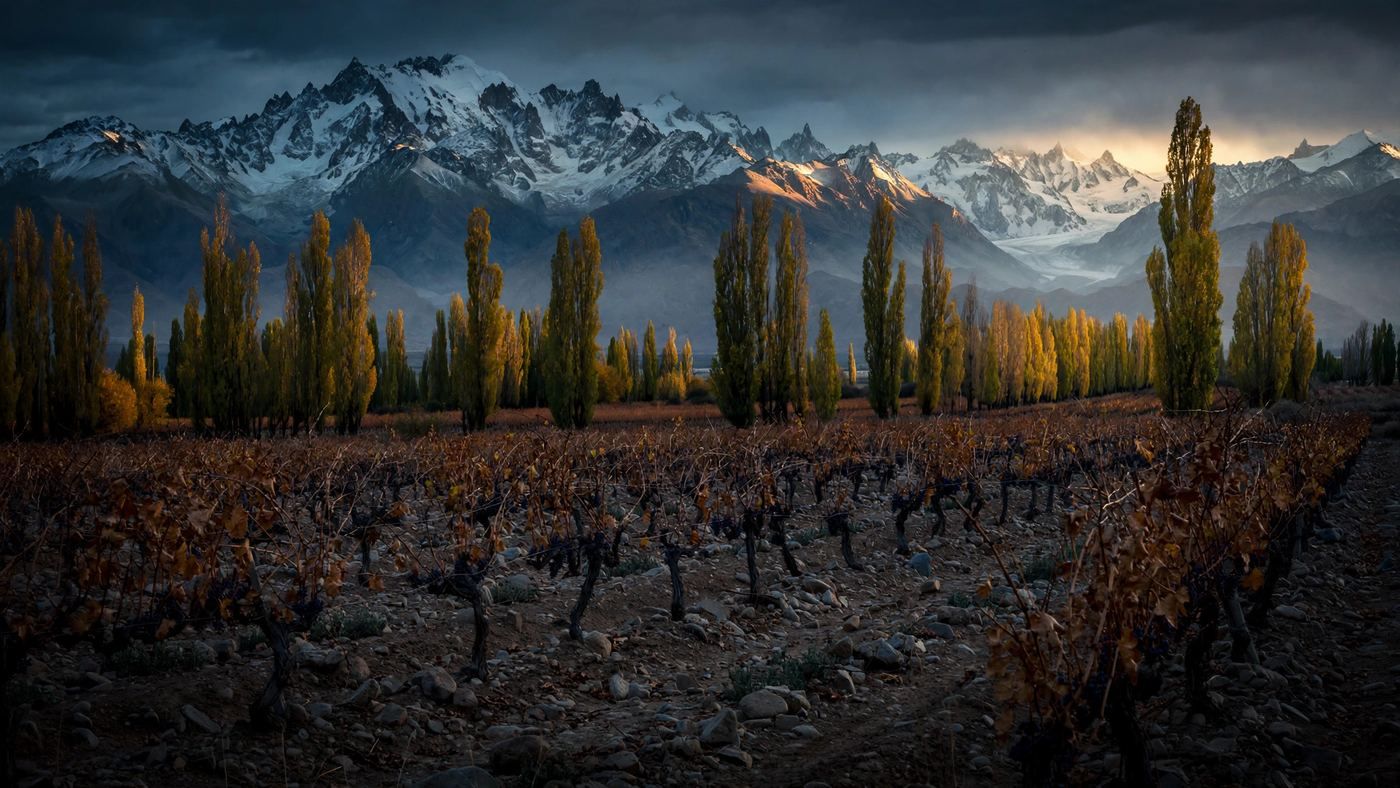 Mendoza, Argentina — editorial wine landscape photography