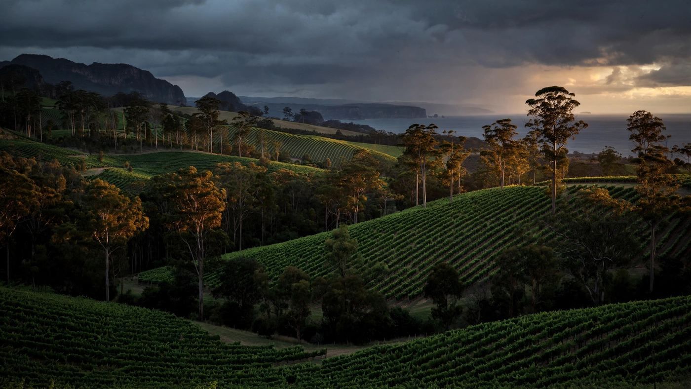 Barossa Valley, Australia — editorial wine landscape photography