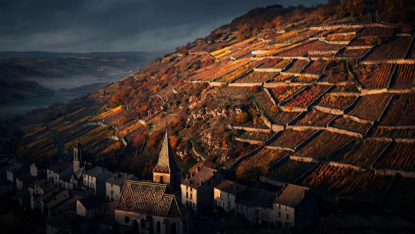 Burgundy, France — editorial wine landscape photography