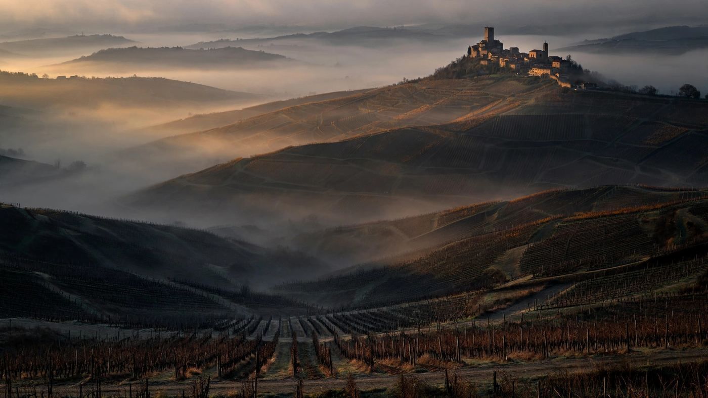 Barbaresco, Italy — editorial wine landscape photography
