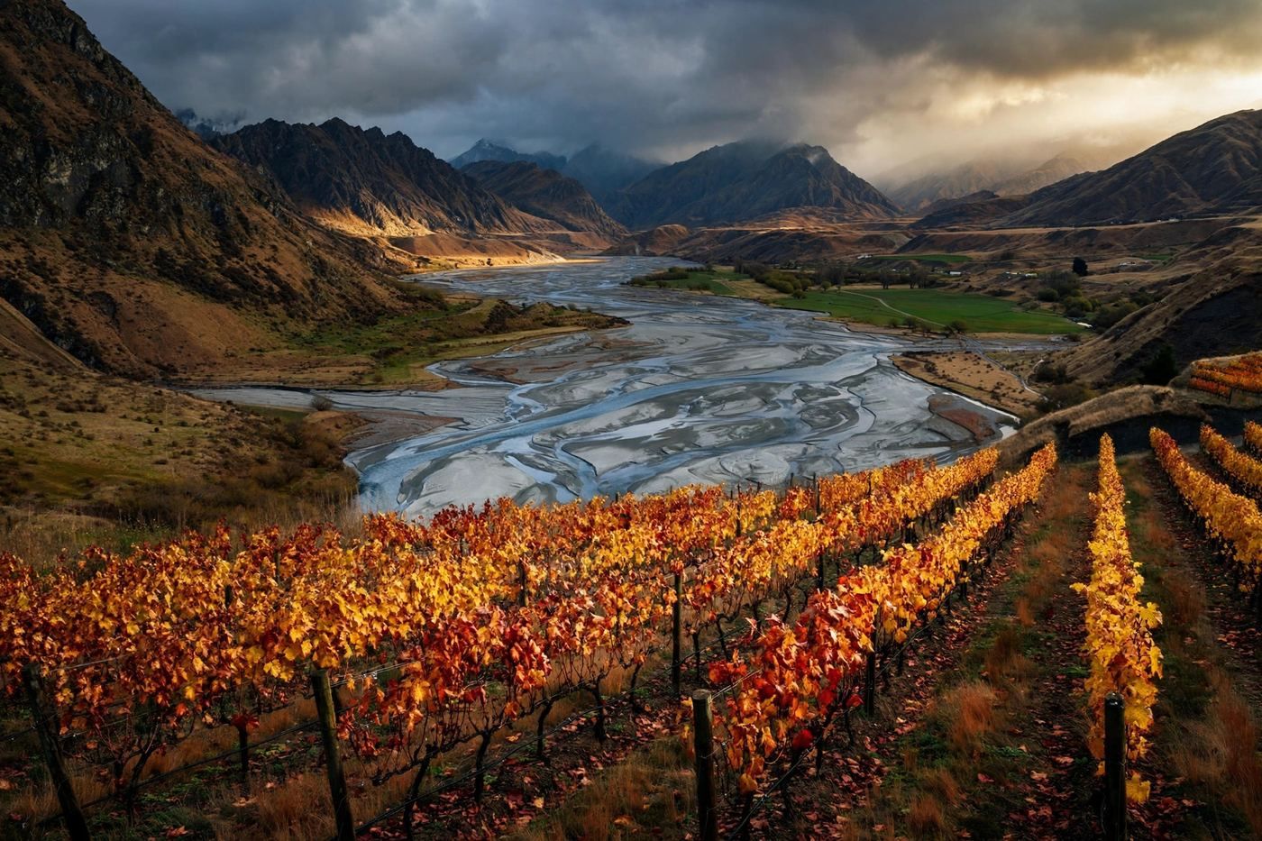 Central Otago, New Zealand — editorial wine landscape photography