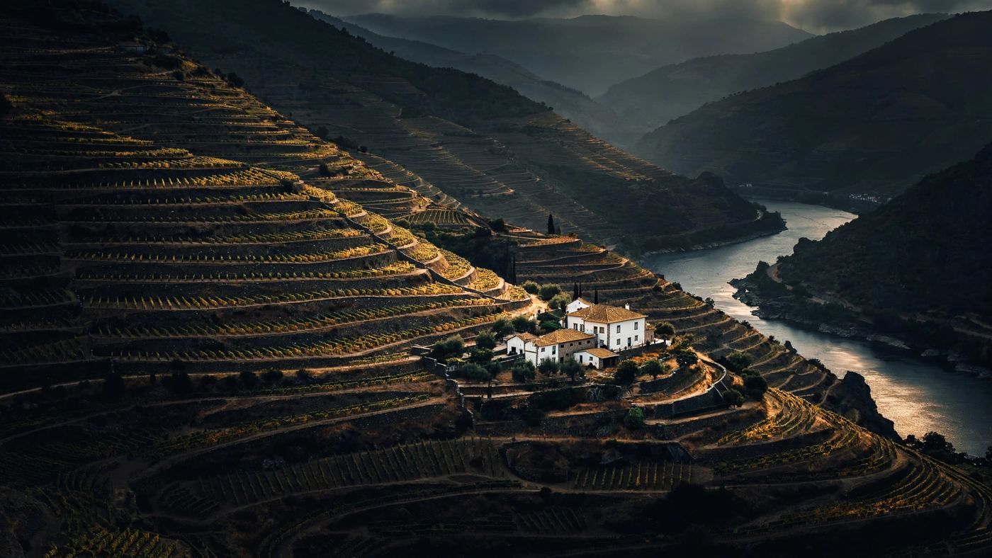 Alentejo, Portugal — editorial wine landscape photography