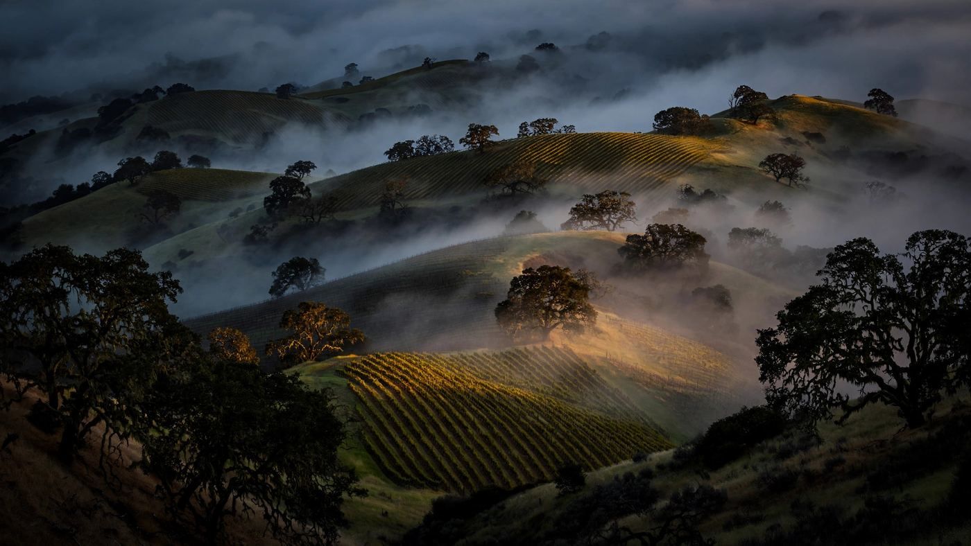 Finger Lakes, United States — editorial wine landscape photography